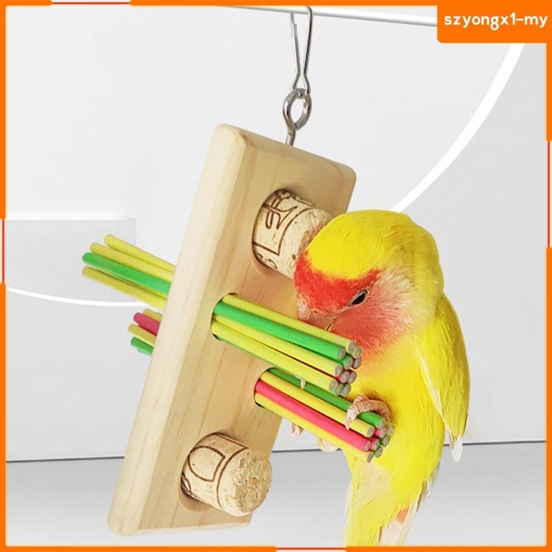 SzyongxfdMY Parrot Chewing Toys Hanging Chewing Toy Swing Amazon