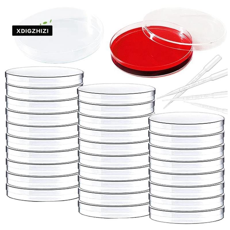 Sterile Plastic Petri Dishes With Lid Clear Petri Dishes With Pipettes