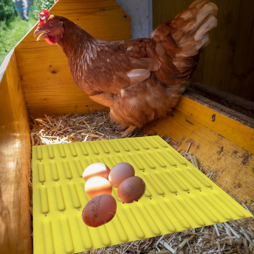 Poyingtis Chicken Coop Mat Reusable Chicken Coop Liners Reusable