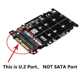 SSD Adapter M 2 SSD To U 2 Adapter M2 SATA NVMe Key B M NGFF SSD To PCI