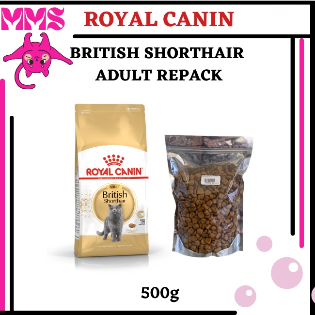 Royal Canin British Shorthair Adult Feline Breed Nutrition Dry Cat