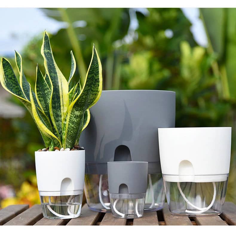 PASU Plastic auto Watering Planter Flower Pots Home Garden Decor ...