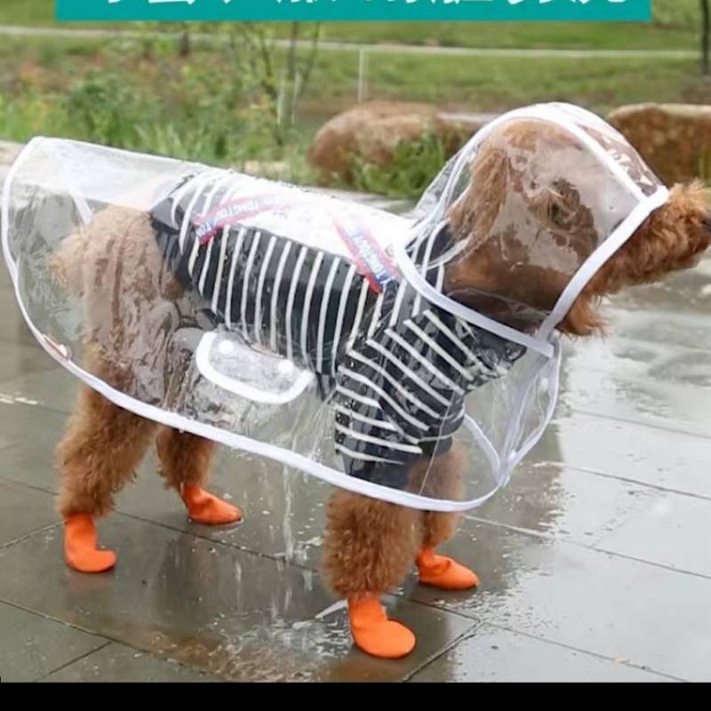 Dog Raincoat Dog Raincoat Small, Medium and Large Dogs Transparent