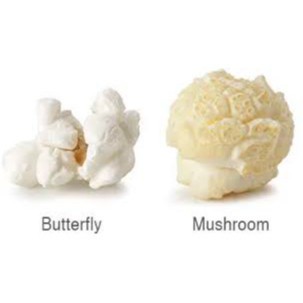 POP CORN BIJI JAGUNG CORN KERNEL BERTIH JAGUNG MUSHROOM POPCORN