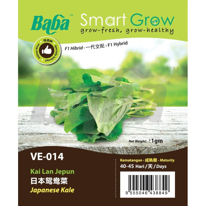 Baba Smart Grow Seeds Ve 014 Japanese Kale 日本鸳鸯菜 Benih Kai Lan Jepun