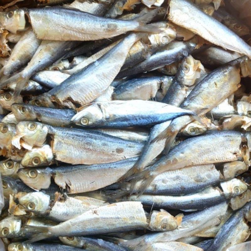 Ikan Tamban Masin 300g | Salted Sardinella Fish 300g | Shopee Malaysia