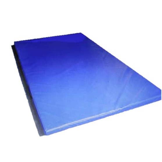 Gym Mats / Throw Mats Standard +Antislip 2m x 1m x 2.5cm TS8