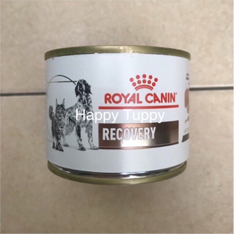 Royal canin hot sale recovery can