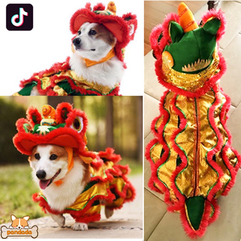 Chinese new clearance year dog costume