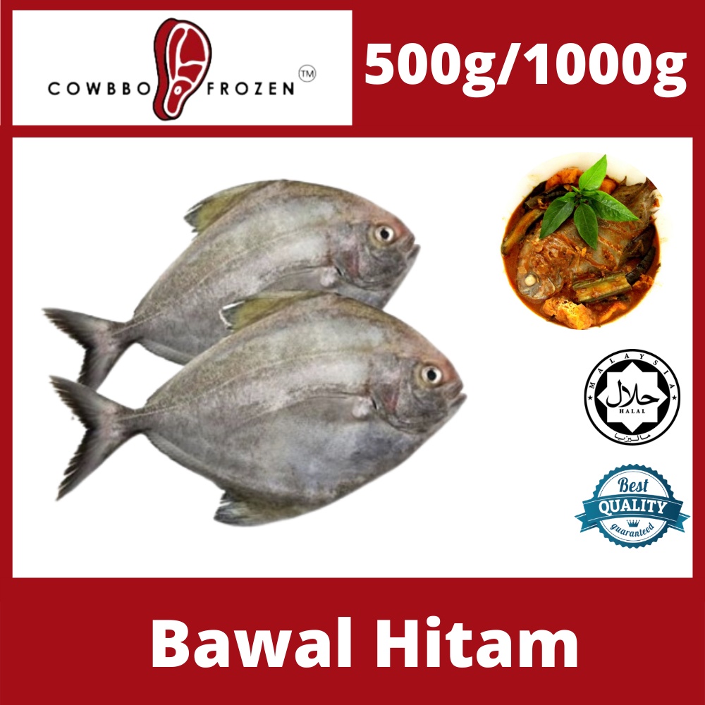 [Halal] Ikan Bawal Hitam Black Pomfret (5001000g) (Only Delivery 𝐊𝐥𝐚𝐧𝐠