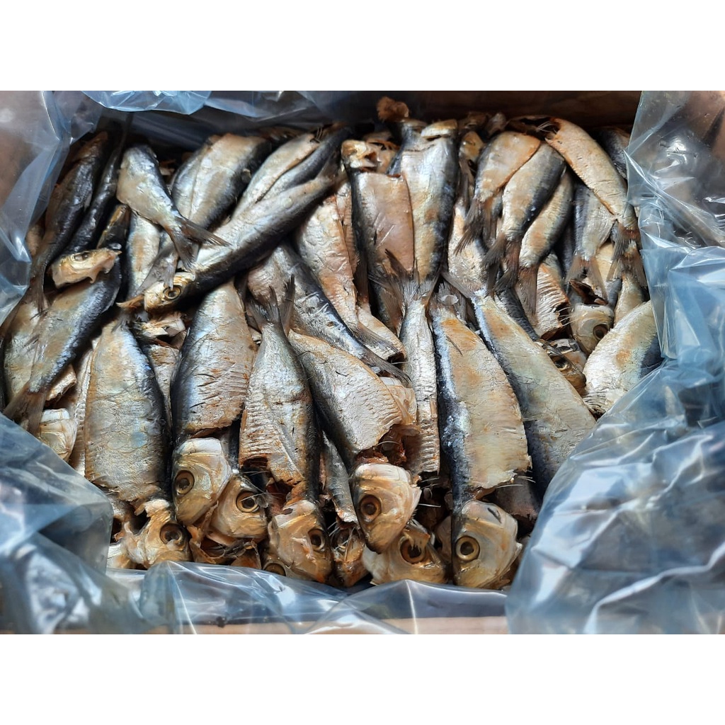 Ikan Tamban Masin 500g Shopee Malaysia