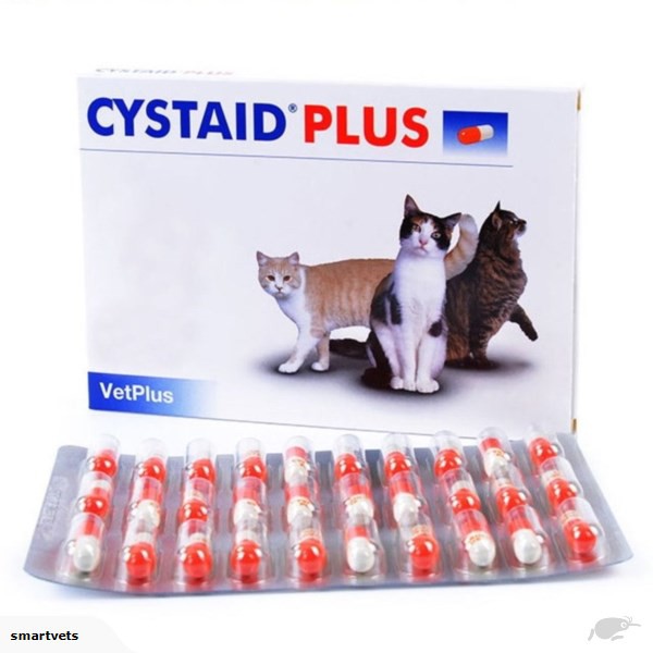 cystaid plus capsules for cats