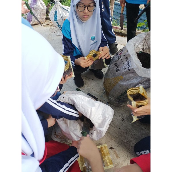 Baja (Daring / Rabbit Bokashi ) | Shopee Malaysia