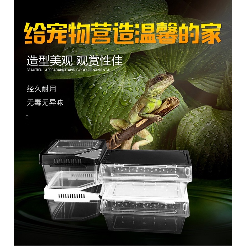 LEO-R High Quality Invertebrates/Insects/Reptiles Clear Plastic Box ...