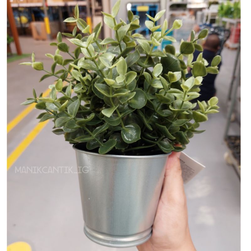 READY STOCK: pasu bunga besi galvani (pasu sahaja) | Shopee Malaysia