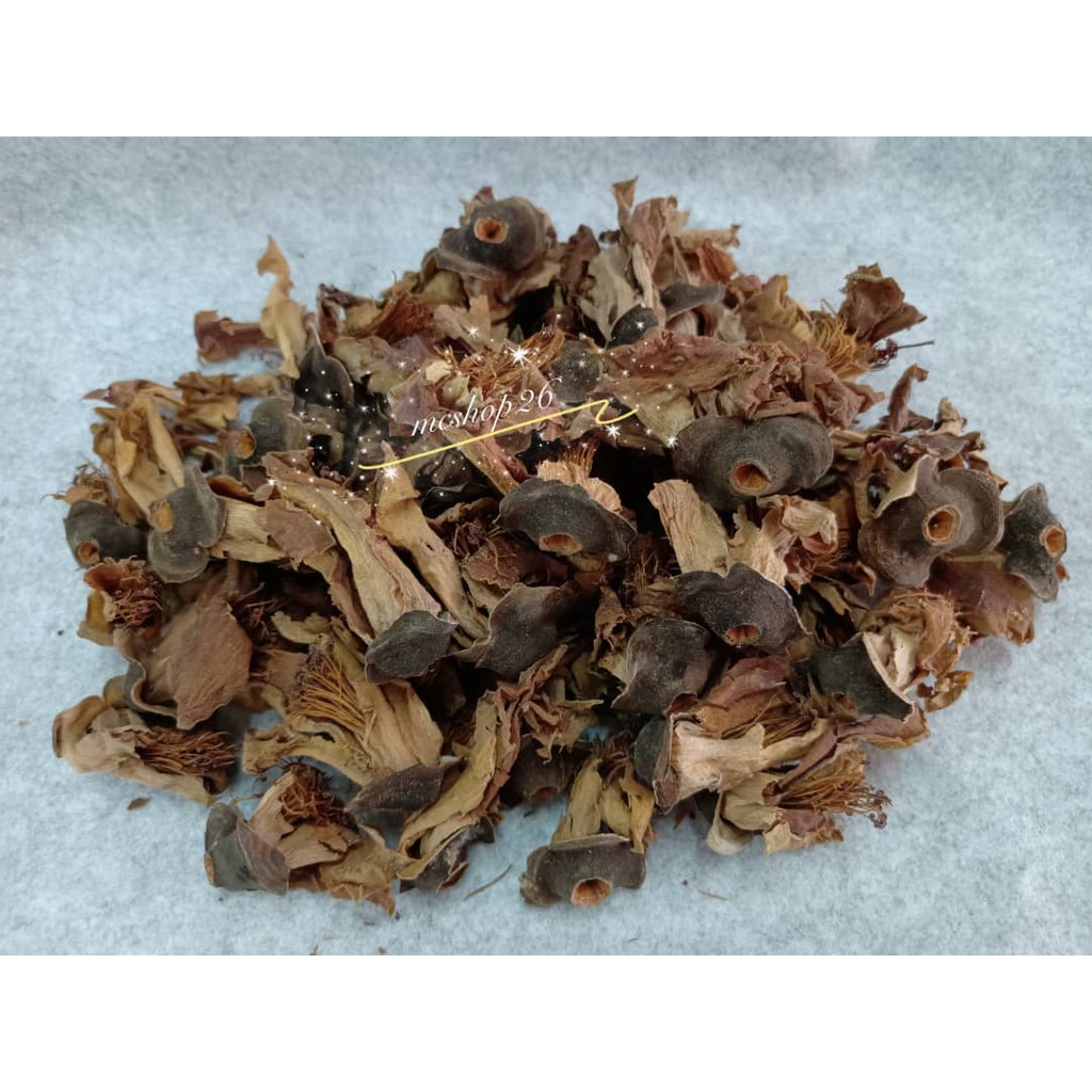 Bunga mukmin /Bunga ratu pari 50g / 100g | Shopee Malaysia