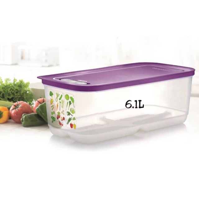 TUPPERWARE JUMBO VENTSMART 6.1L | Shopee Malaysia