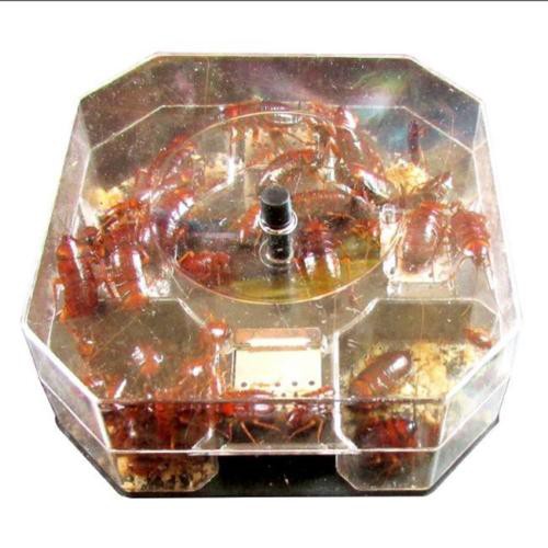 Reusable Physical Cockroach Trap Insert Killer Catcher Box Non-toxic ...