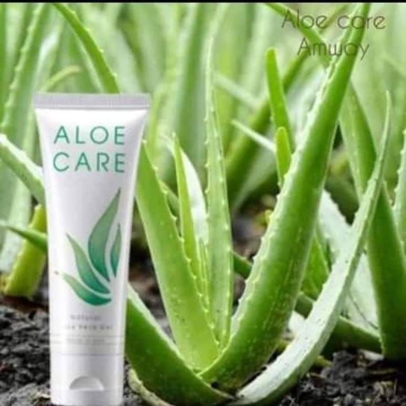 aloe vera gel alnatura Aloe Vera Gel | Pure and Natural main image 0