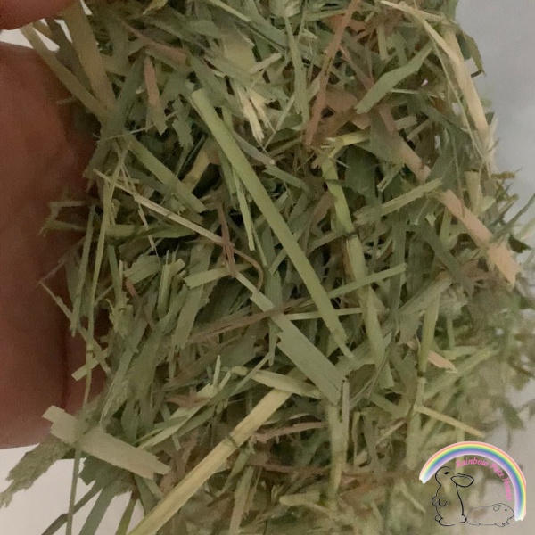 Timothy Hay First Cut 1kg (Shorter Length) | Shopee Malaysia