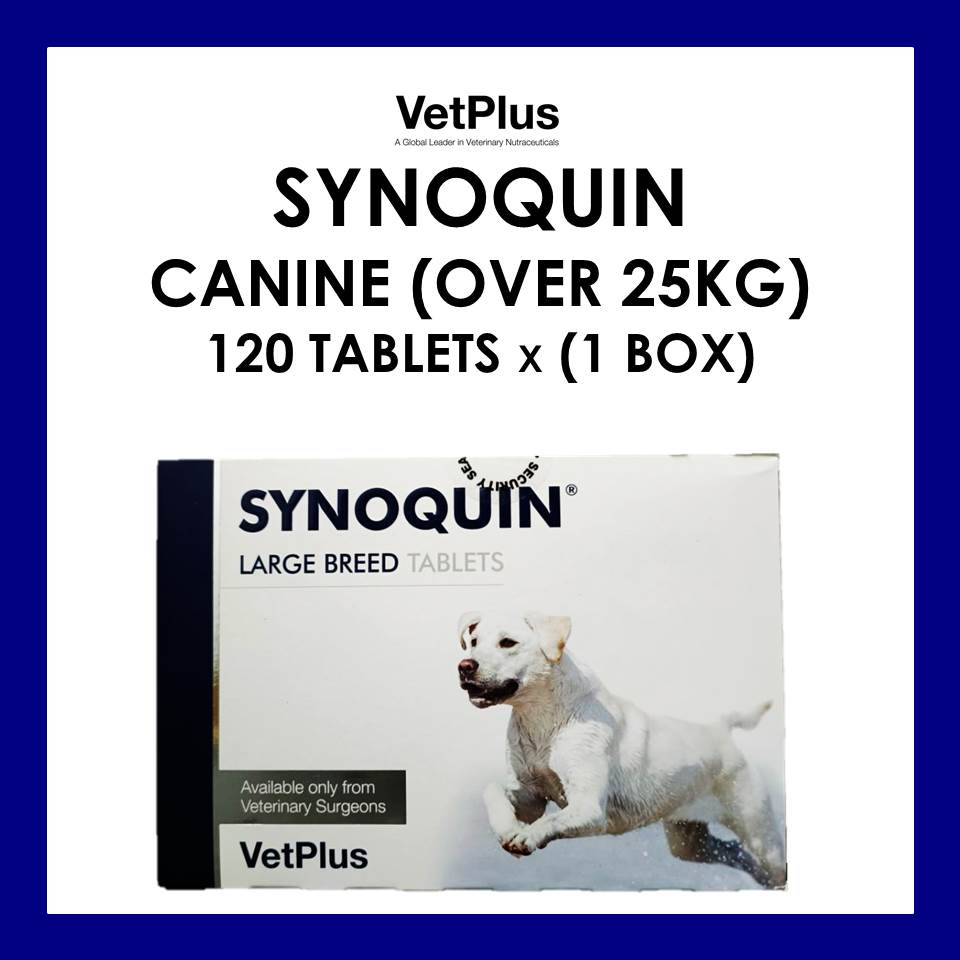 Synoquin for large hot sale dogs