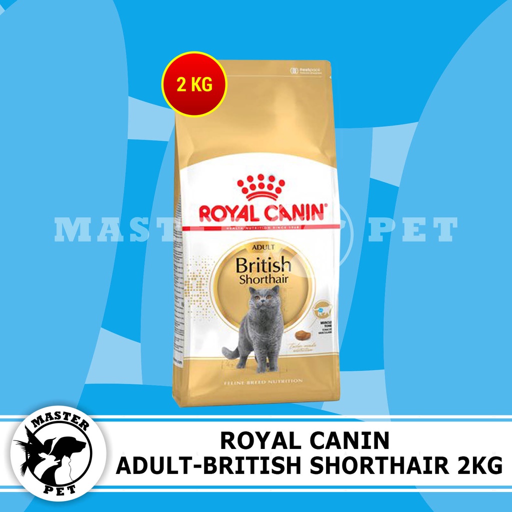 Royal Canin British Shorthair 2kg | Shopee Malaysia