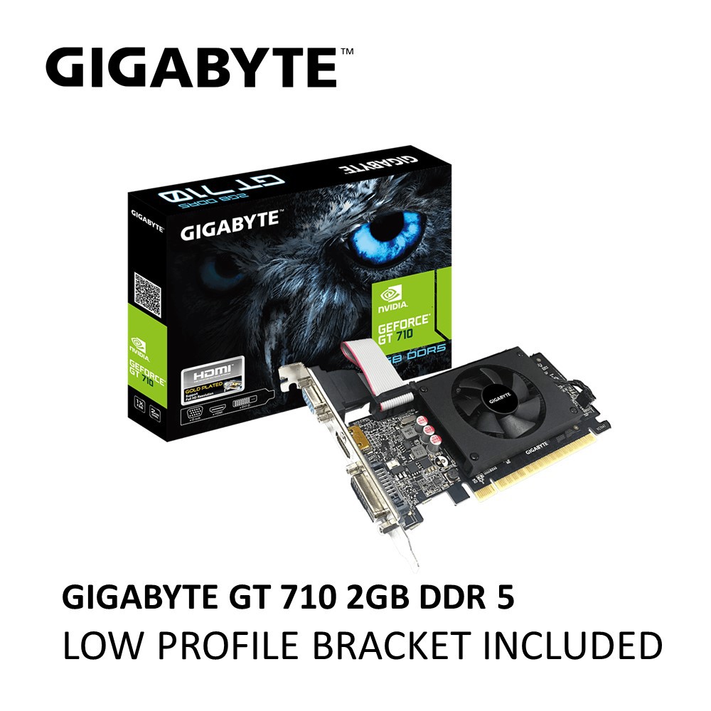 Gt 710 best sale 2gb ddr2