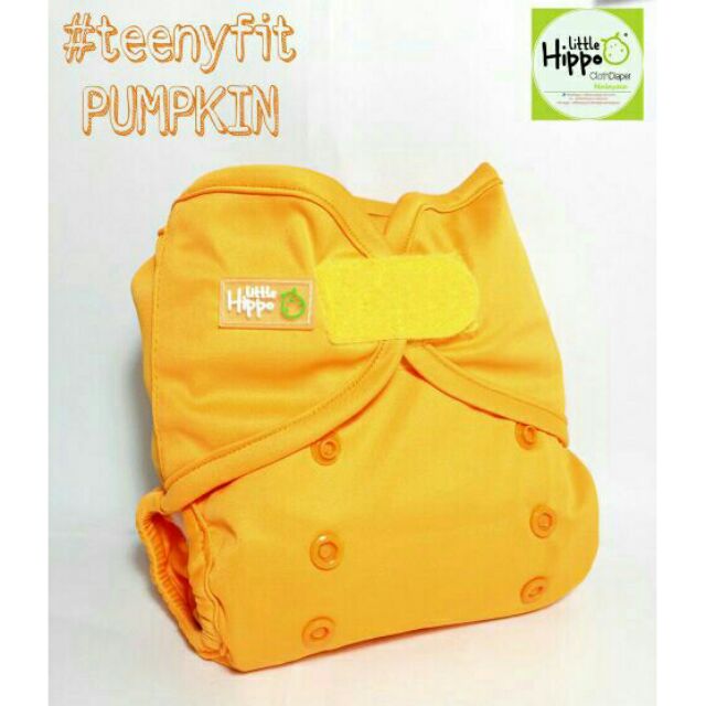 Teenyfit Newborn Cloth Diaper SET (COVER+SOAKER) (SOLID) Shopee Malaysia