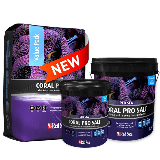 Red Sea Coral Pro Salt bucket aquarium fish marine RedSea 22kg (660