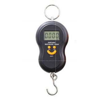 35kg Portable Hook Travel Handle Mechanical Weighing Fishing Luggage Scale  with Tape Measure - China Digital Scale, Portable Hanging Scale