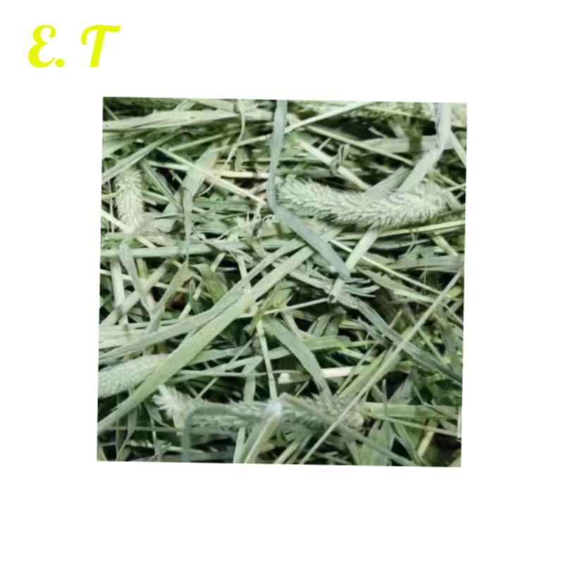 Image showcasing Penang TIMOTHY HAY 500g / 1kg Rabbit / Guinea pig Jerami Timothy ET ...