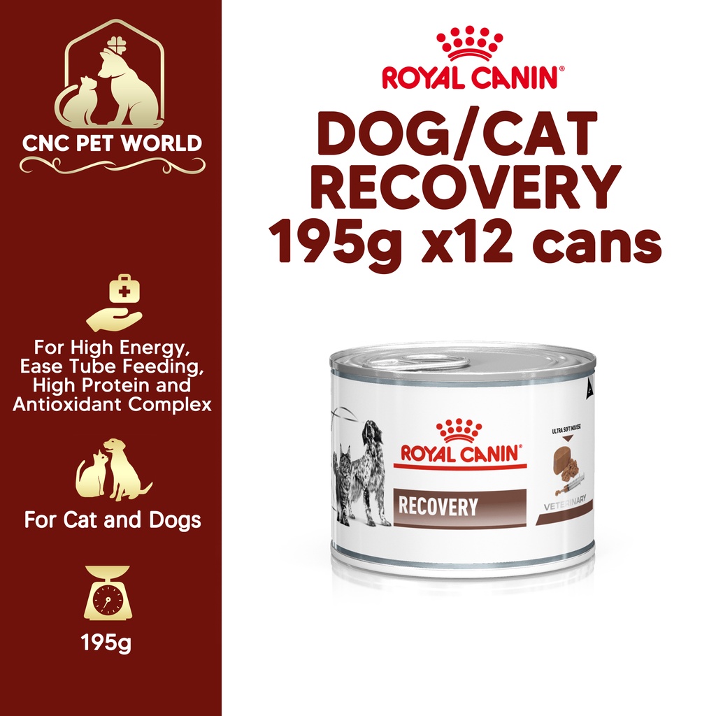 RECOVERY  Royal Canin MY