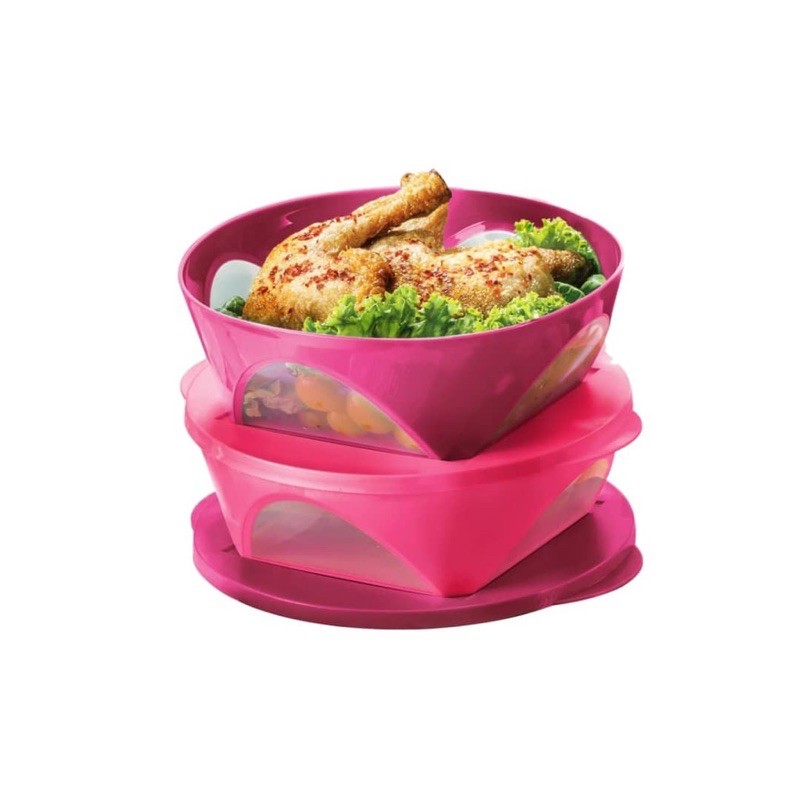 Tupperware Outdoor Dining Bowl 2.5L Liquidtight | Shopee Malaysia