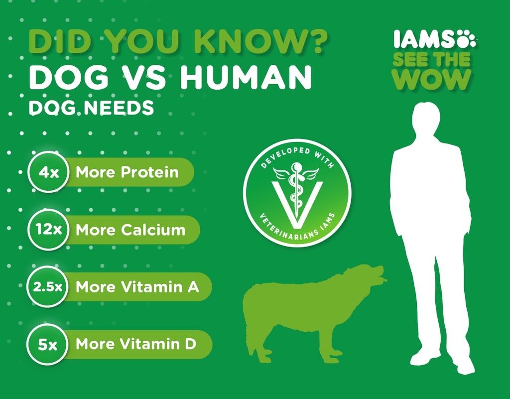 IAMS Proactive Health Dog Food Premium Dog Dry Food for Adult Dogs