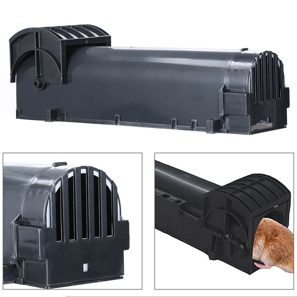 Humane Live Animal Trap For Mice, Rats, Hamsters - Rodent Control Cage With Bait