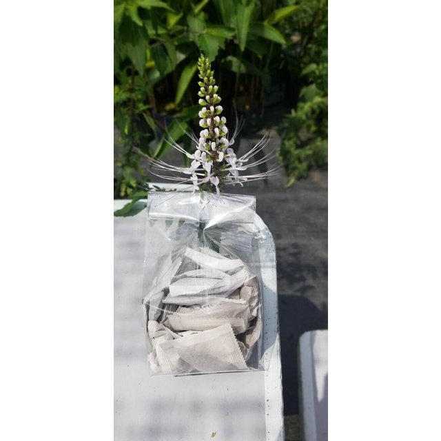 MM 30 Sachet Java tea /30 uncang teh misai kucing / teh kesihatan