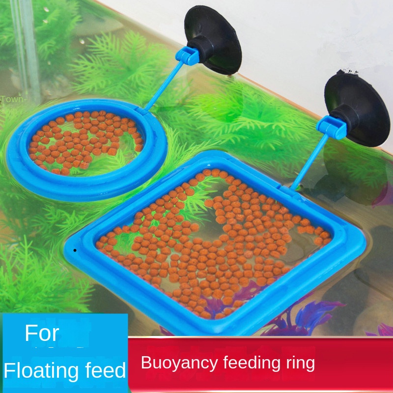 Feeding circle floating fish food feeding circle fish tank fish feeding ...