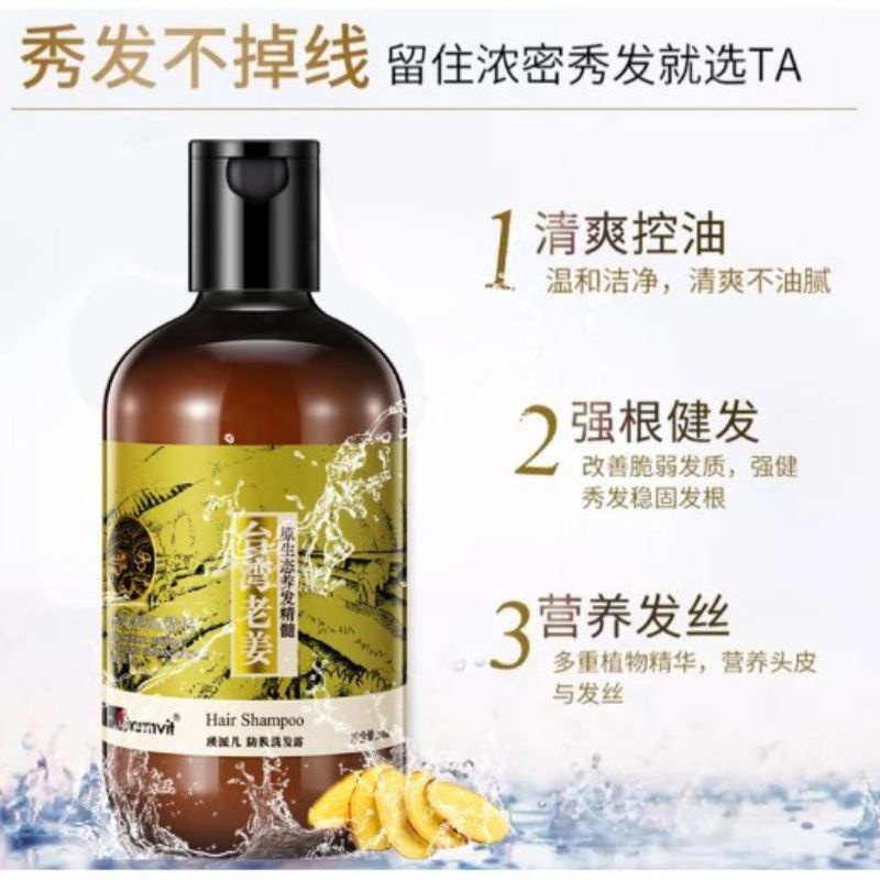 Taiwan Taozi Salon Hair Ginger Shampoo560ml 台湾老姜健发洗发水 Shopee Malaysia