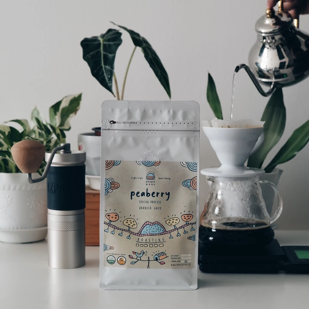 peaberry burni telong single origin