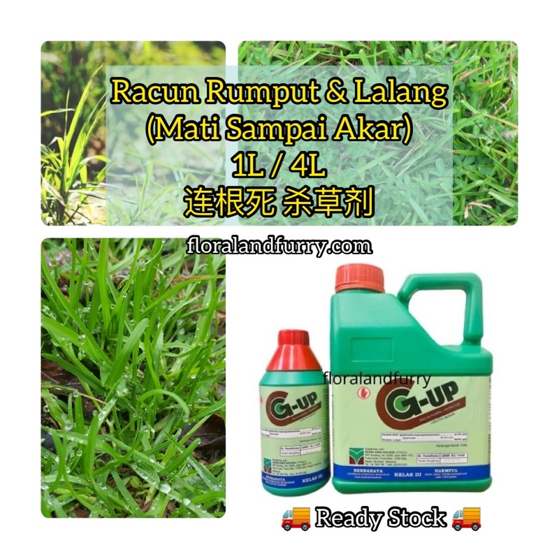 Racun Rumput Rumpai Lalang Mati Akar 1l 4l Weed Killer Glyphosate 41