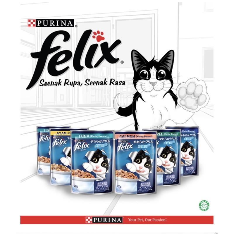 Purina Felix Wet Cat Food Kitten and Adult 70G Shopee Malaysia