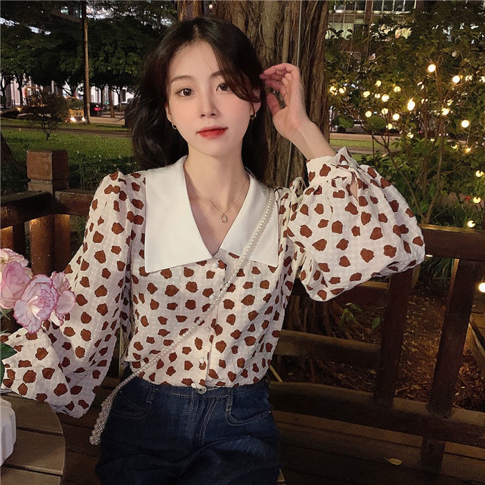 Women's Boho Floral Swiss Dot Blouse - Long Sleeve Loose Ruffle Tunic Top