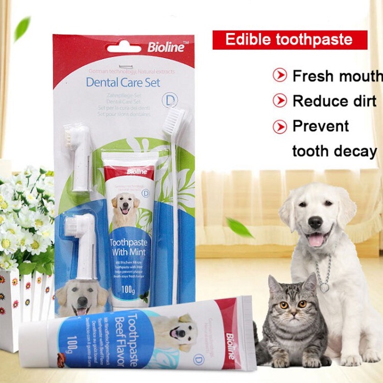 Visual Reference: Bioline Cats Dog Toothbrush Toothpaste Dental Care Set For Pet