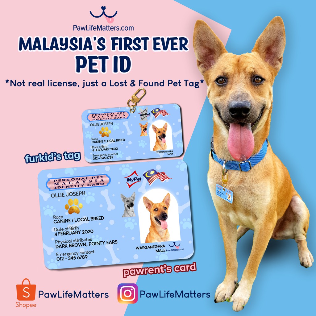 Pet tag outlet 4 life