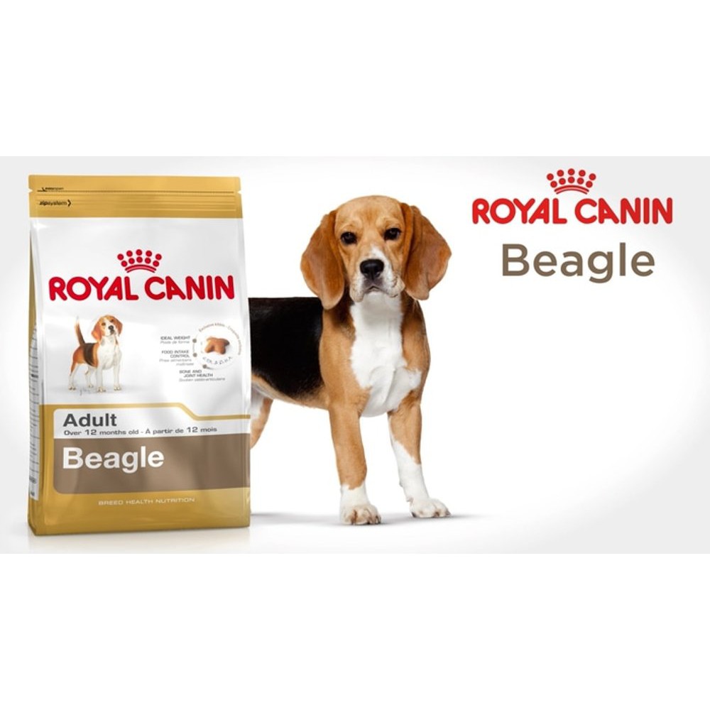 Royal canin outlet beagle