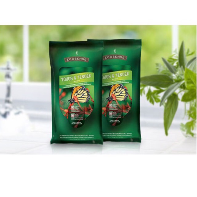 Cleaning Wipes 2-pack (2 Packs) | Shopee Malaysia