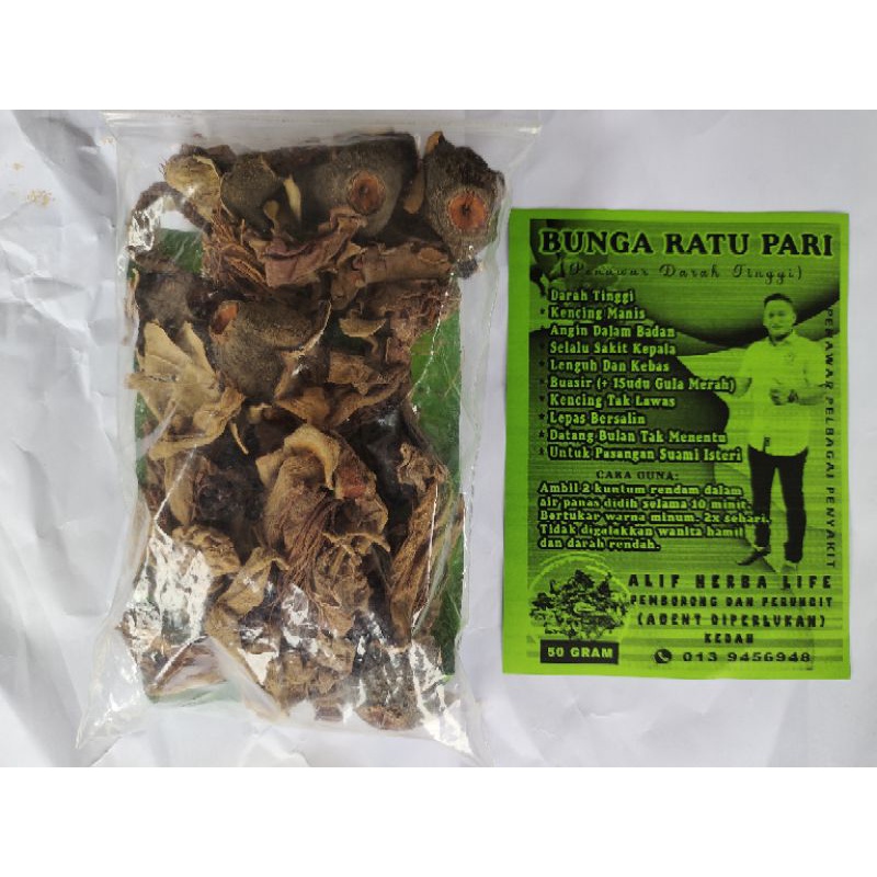 Bunga Ratu Pari(Pos Segera Sampai Cepat)100% original | Shopee Malaysia