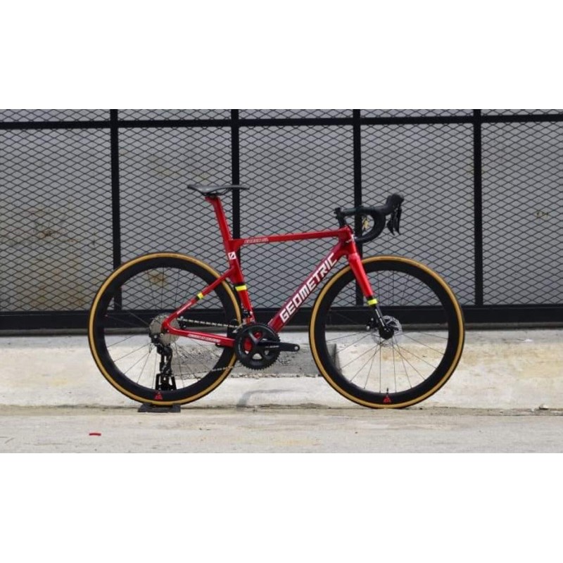 Geometric best sale road bike