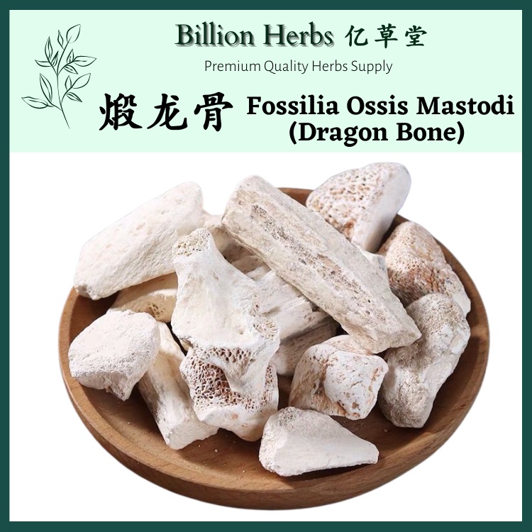亿草堂 煅龙骨 龙骨块 100g Fossilia Ossis Mastodi (Dragon Bone) / 中药材 Chinese ...