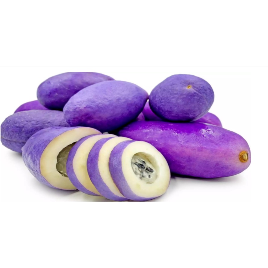japanese Purple Akebi Fruit seed Holboellia latifoliavery rare Shopee Malaysia